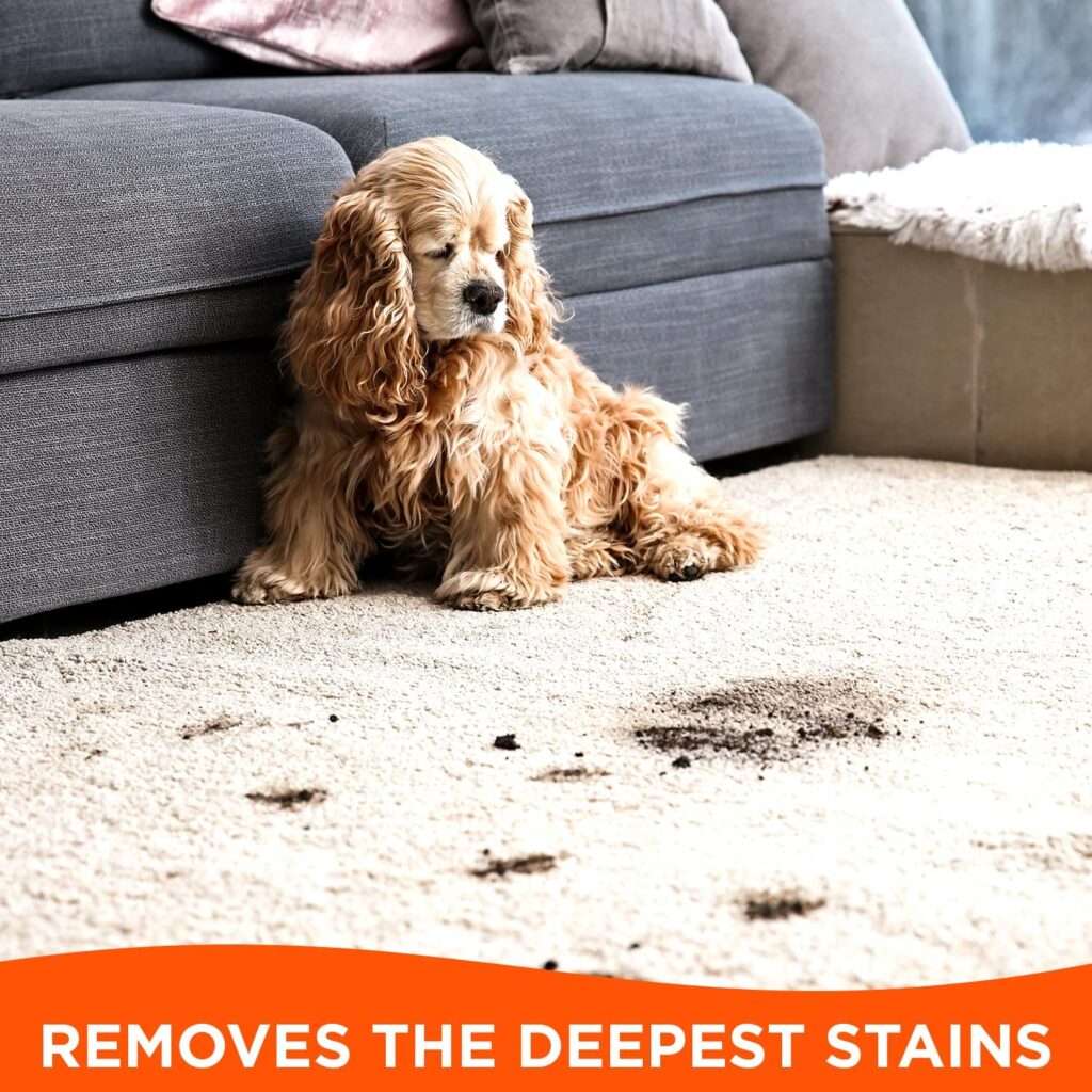 Tide Laundry Stain Remover works on pet stains